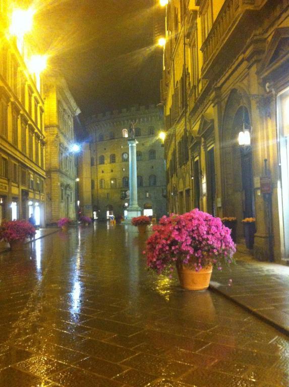 Tornabuoni La Petite Apartahotel Florencia